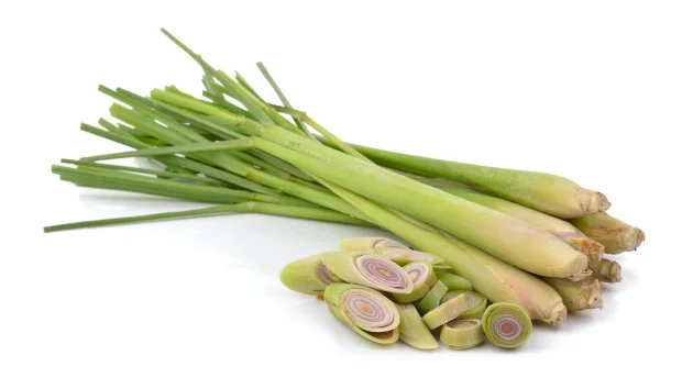 Lemongrass